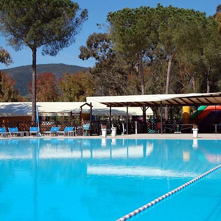 Camping Lacona กาโปลิเวรี ภายนอก รูปภาพ